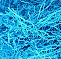 Наполнитель бумажный гофрированный 2 мм, светло-синий (50 грамм, без расфасовки)