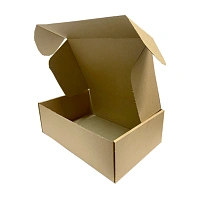 Коробка самосборная 300х200х100 мм Т-12